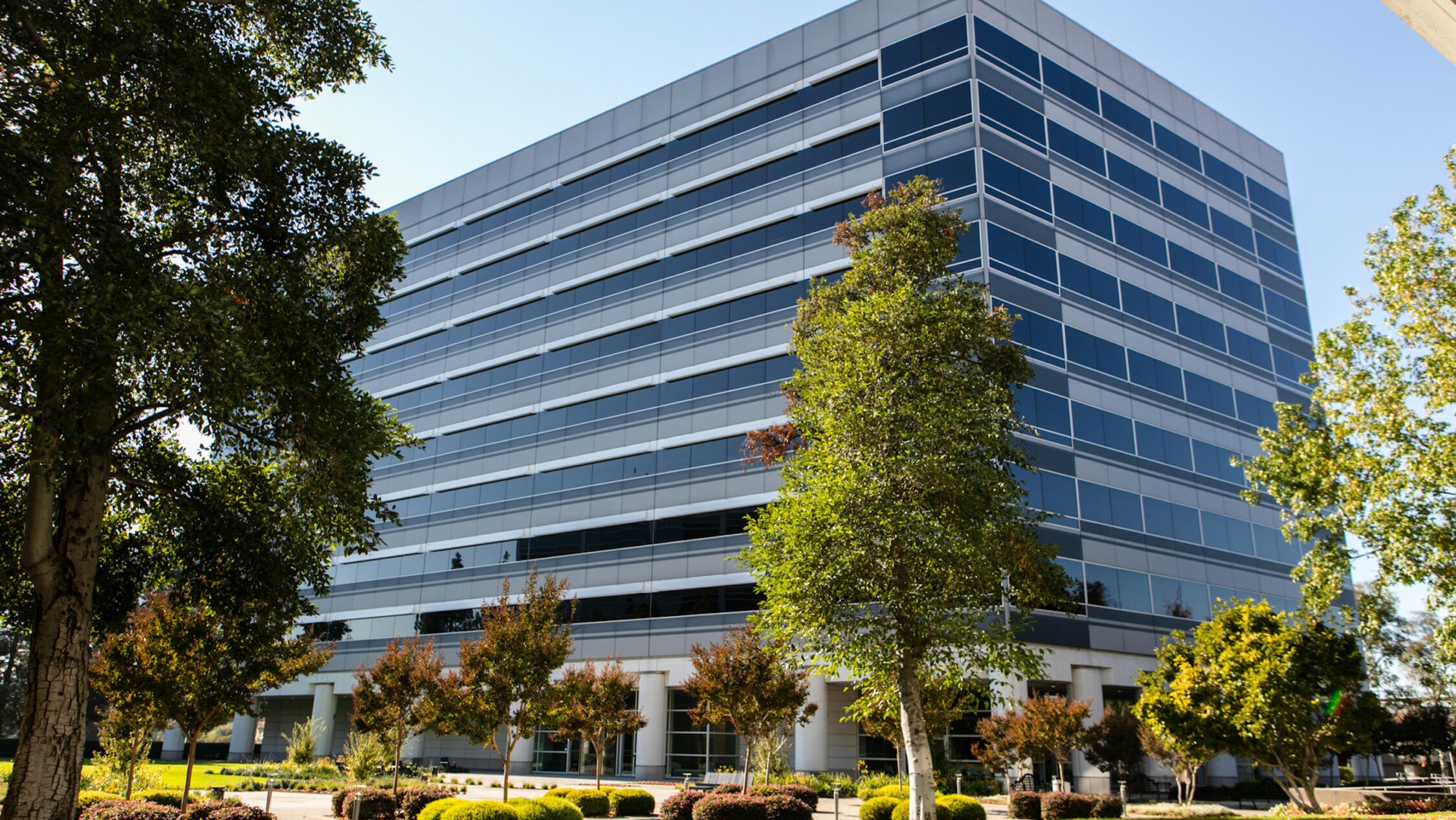 2000 Clayton building exterior with landscaped courtyard in foreground