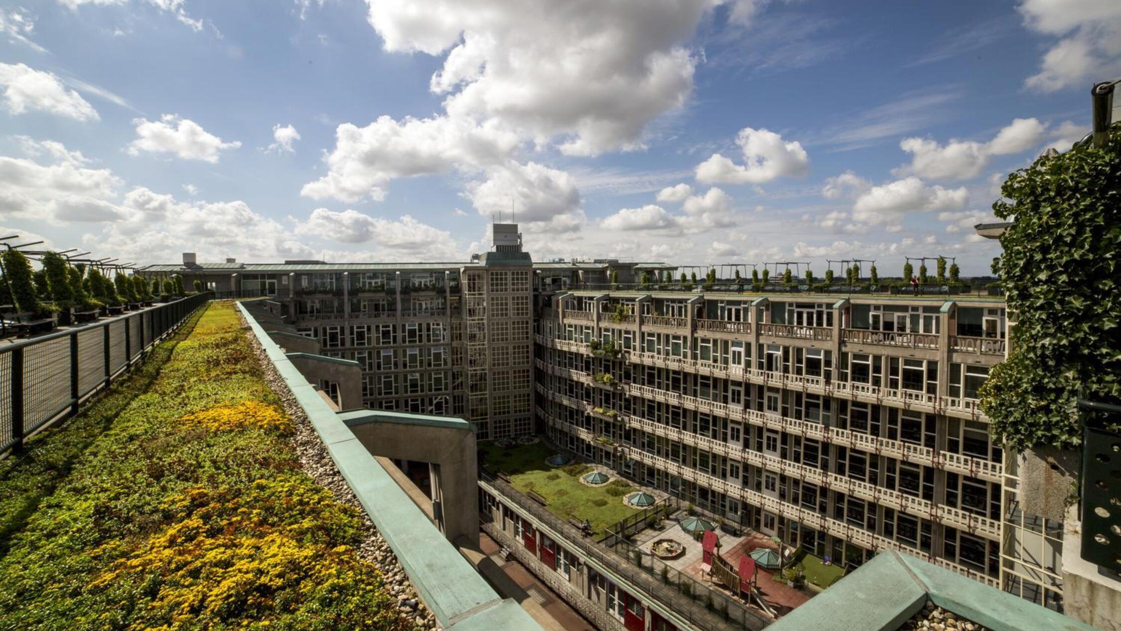 Groot Handelsgebouw rooftop gardens