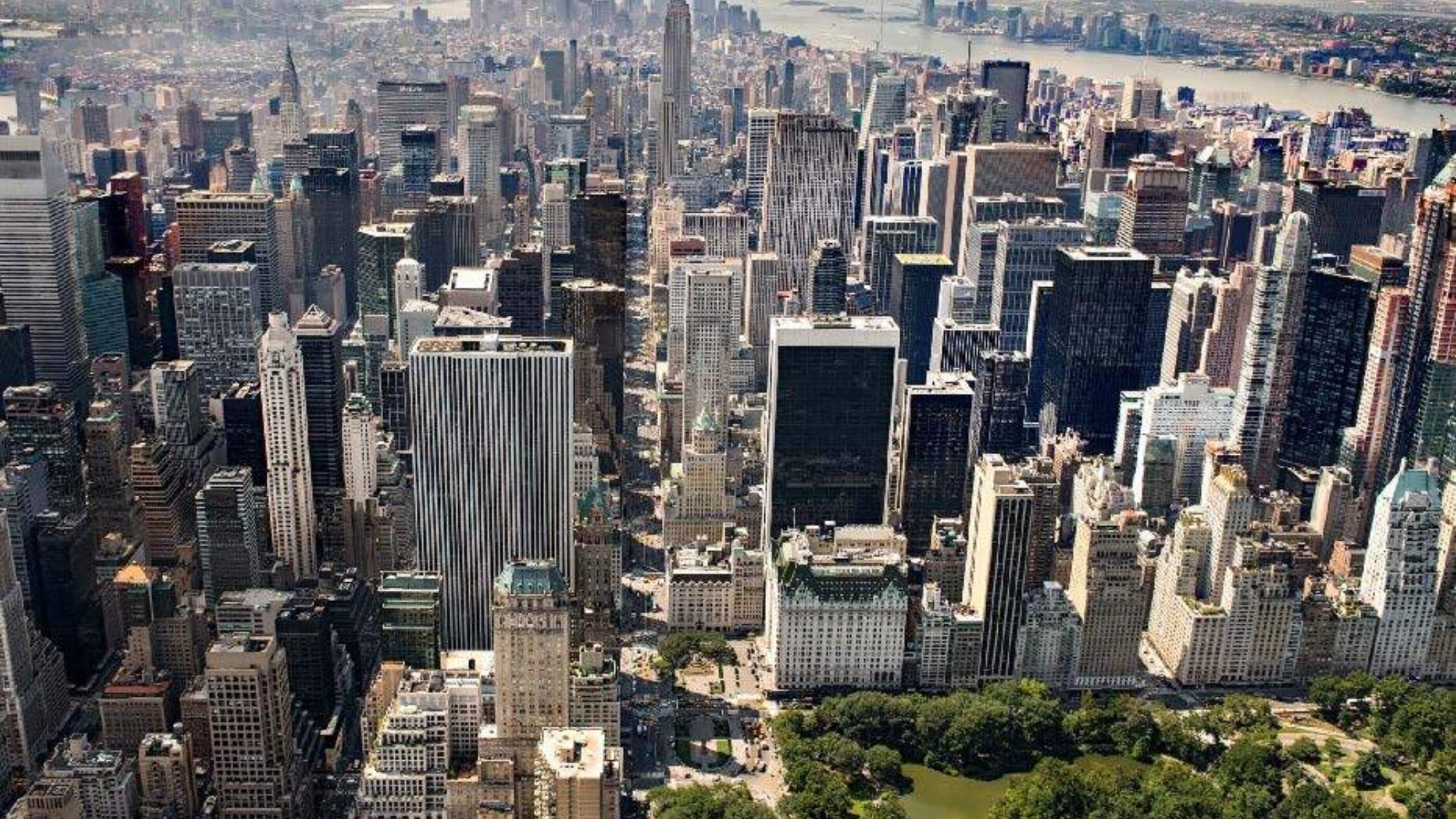 Madison Avenue Portfolio and New York City from above