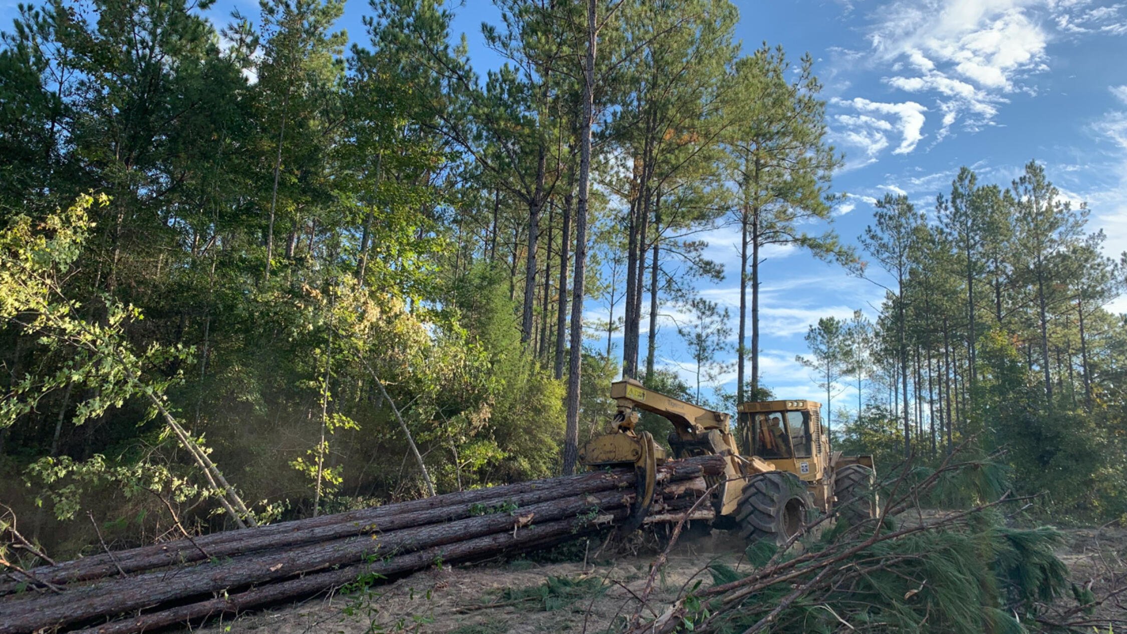 Tractor moving felled trees at the Azalea timber tract