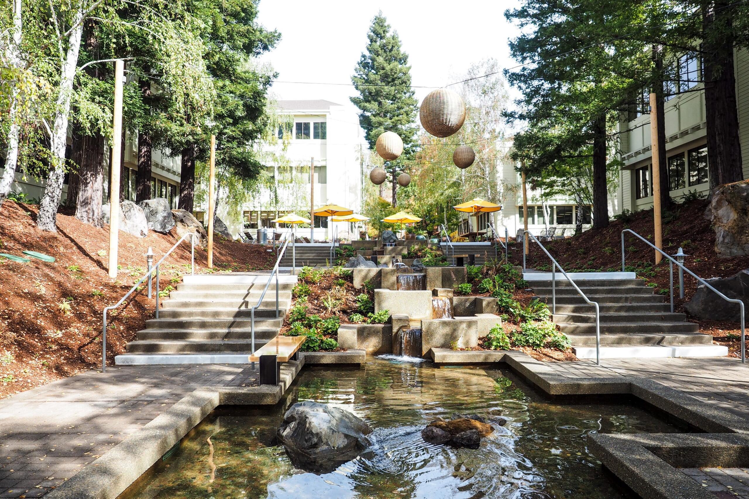 The courtyard at The Exchange at Larkspur Landing with large trees and water cascading into a reflecting pool