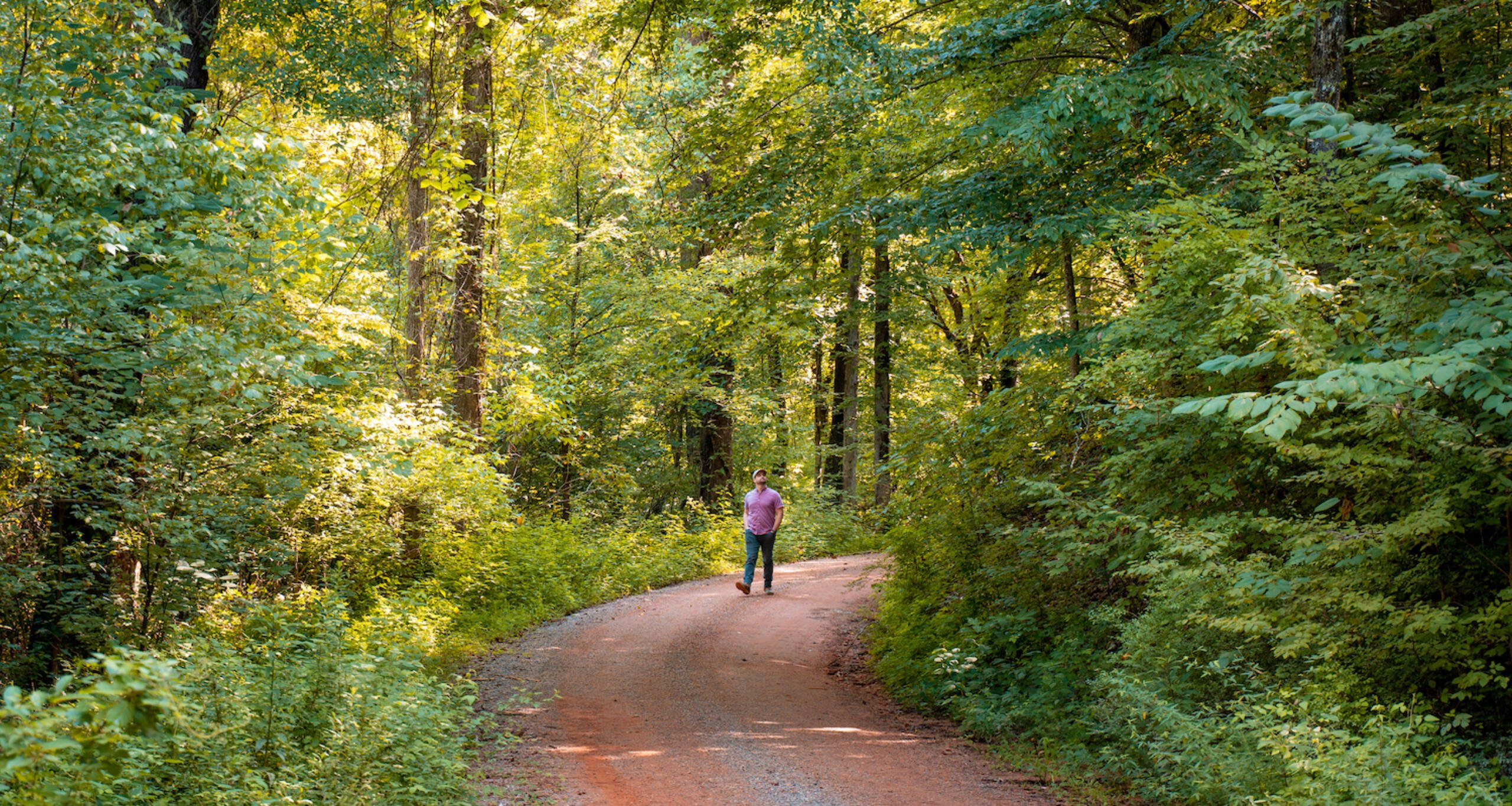 A man walking through a full forest