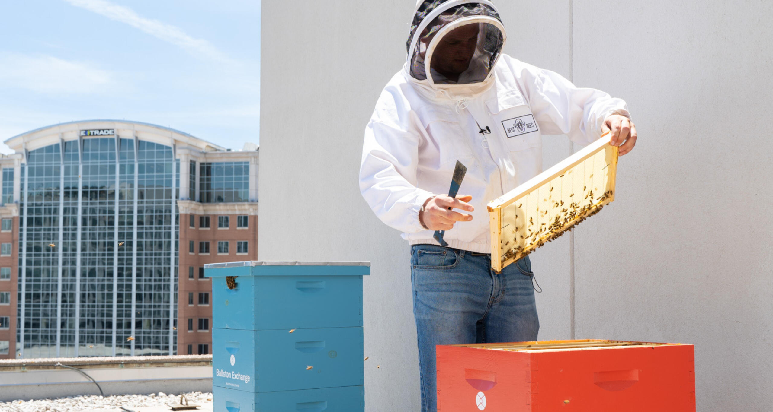 Beekeeper tending to hives on the roof of Ballston Exchange