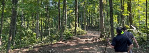 Two foresters hiking on dirt path beneath trees at Brickyard
