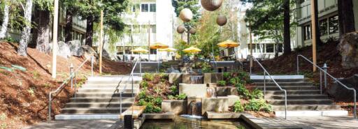 The courtyard at The Exchange at Larkspur Landing with large trees and water cascading into a reflecting pool