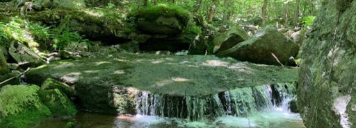 A shaded creek and small waterfall with trees in background at Allegheny