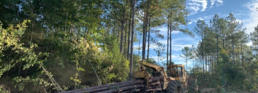 Tractor moving felled trees at the Azalea timber tract
