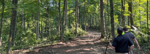 Two foresters hiking on dirt path beneath trees at Brickyard