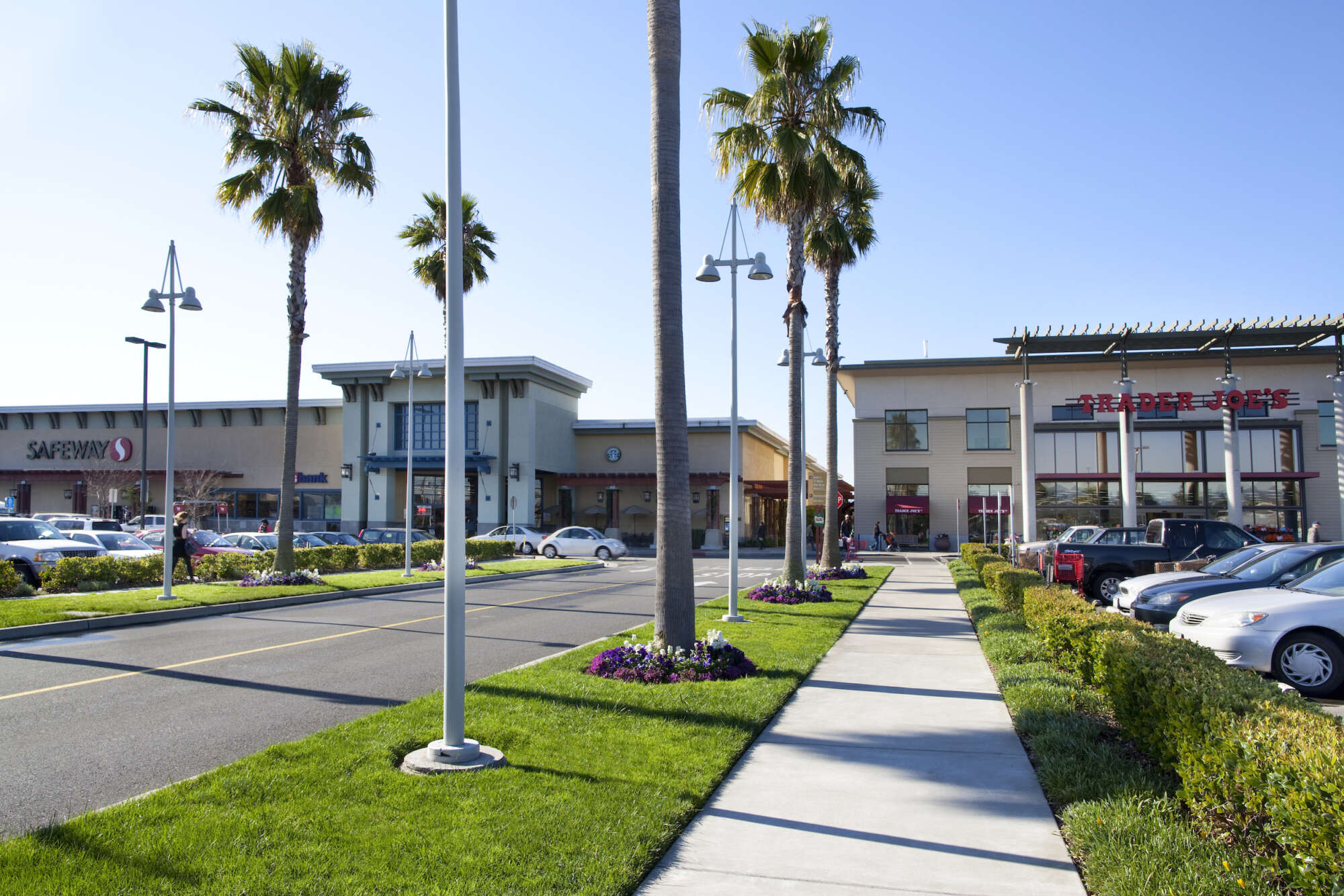 Alameda South Shore Center main entrance, street lined with palm trees, cars parked in lot