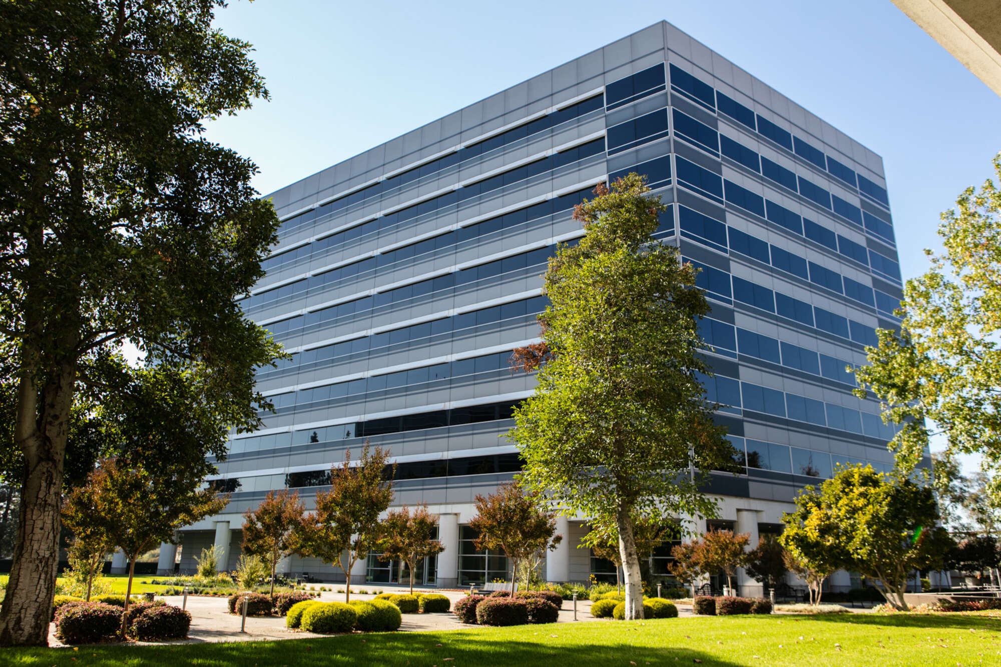 2000 Clayton building exterior with landscaped courtyard in foreground
