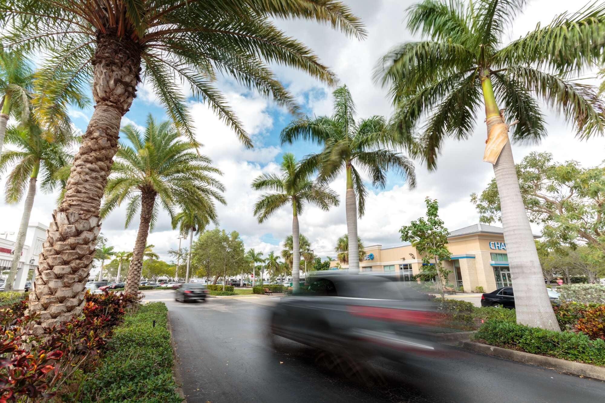 Cars enter Polo Club Shops with palm trees on both sides.