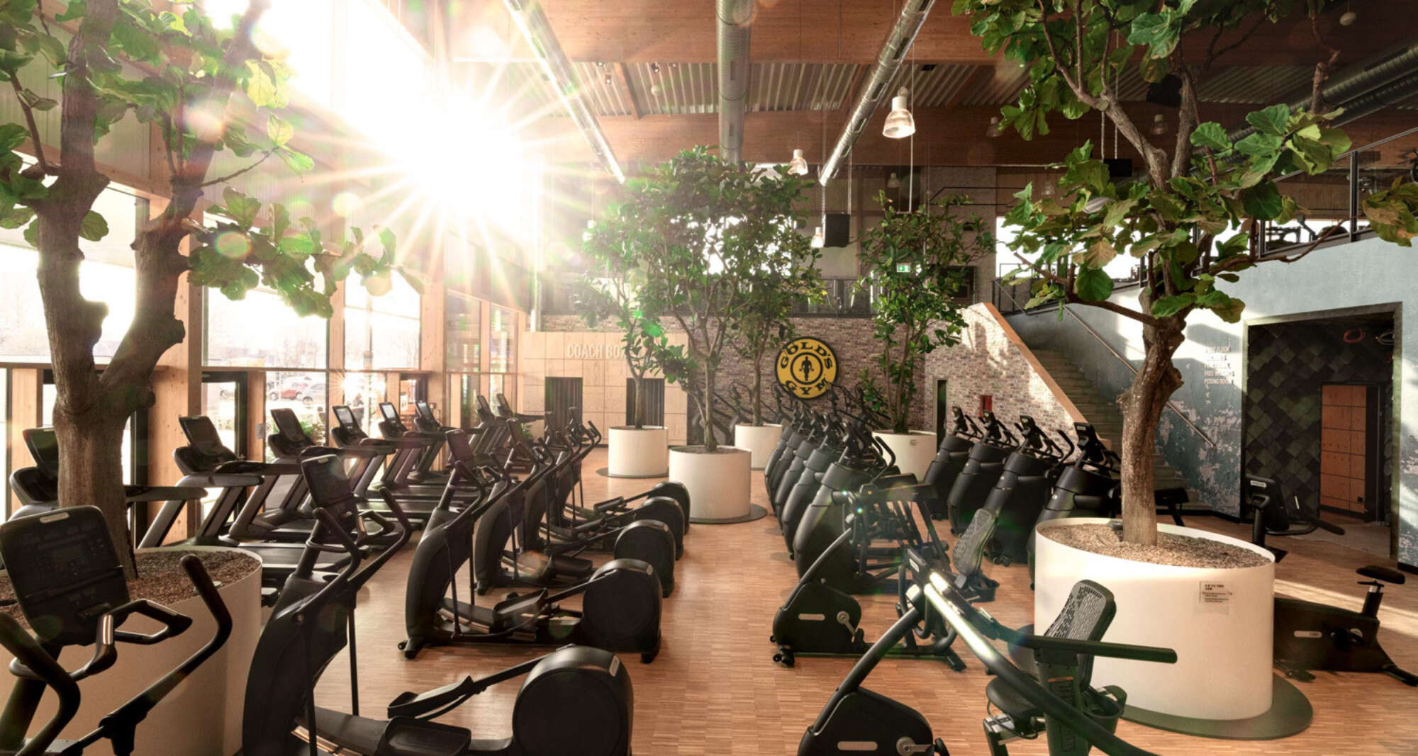 Gold's Gym Cardio Garden with rows of exercise bikes surrounded by indoor trees